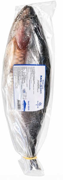 Fisk Rohu 2-3 kg- 20 kg
