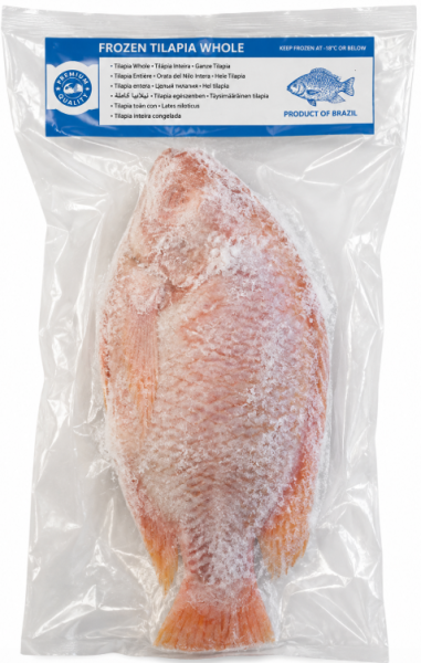 Fisk Tilapia Rød 700-900g- 4 kg