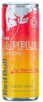 Red Bull Winter Edition 250 ml x 24 Stk