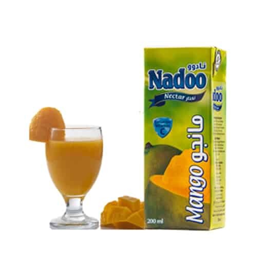 Naado Fruit Drink Mango 200ml x 27 stk