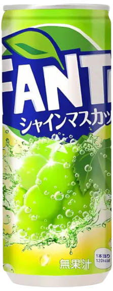 Fanta Japan Muscat Grape 24x500ml